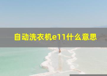 自动洗衣机e11什么意思