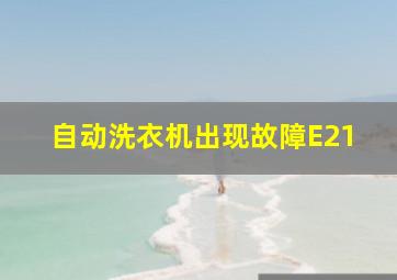 自动洗衣机出现故障E21