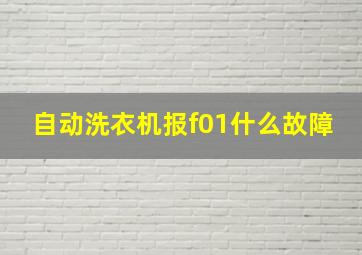 自动洗衣机报f01什么故障