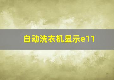 自动洗衣机显示e11