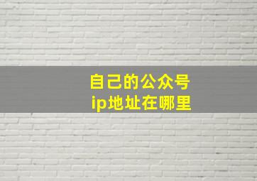 自己的公众号ip地址在哪里