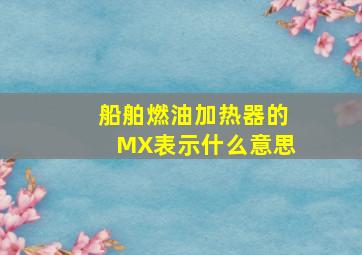 船舶燃油加热器的MX表示什么意思