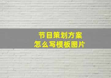 节目策划方案怎么写模板图片