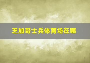 芝加哥士兵体育场在哪