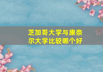 芝加哥大学与康奈尔大学比较哪个好