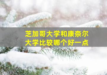 芝加哥大学和康奈尔大学比较哪个好一点