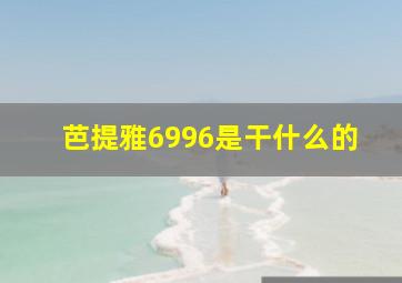 芭提雅6996是干什么的