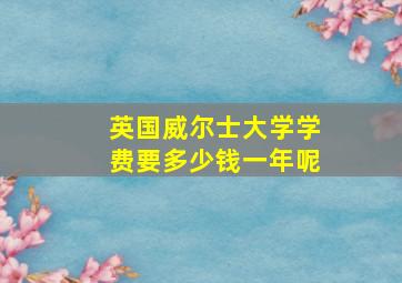 英国威尔士大学学费要多少钱一年呢