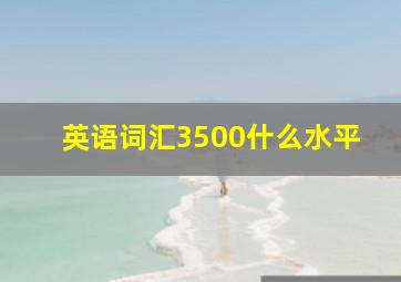 英语词汇3500什么水平