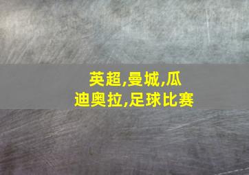 英超,曼城,瓜迪奥拉,足球比赛