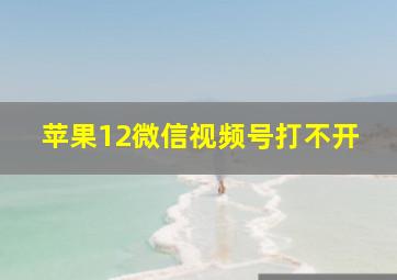 苹果12微信视频号打不开