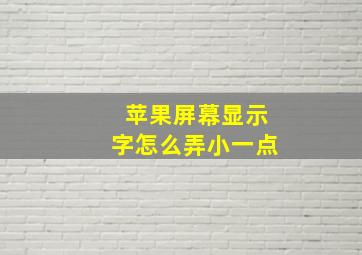 苹果屏幕显示字怎么弄小一点