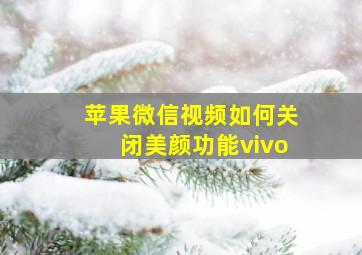 苹果微信视频如何关闭美颜功能vivo