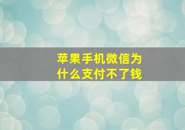 苹果手机微信为什么支付不了钱