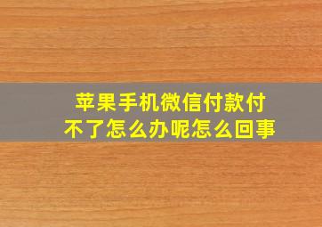 苹果手机微信付款付不了怎么办呢怎么回事