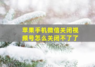 苹果手机微信关闭视频号怎么关闭不了了