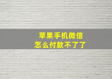 苹果手机微信怎么付款不了了