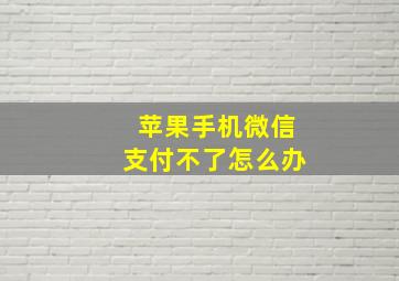 苹果手机微信支付不了怎么办