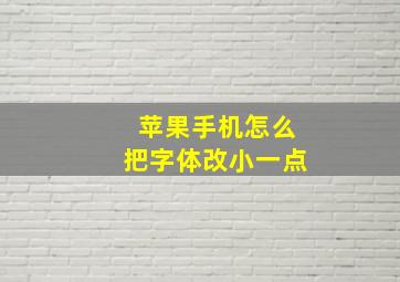 苹果手机怎么把字体改小一点