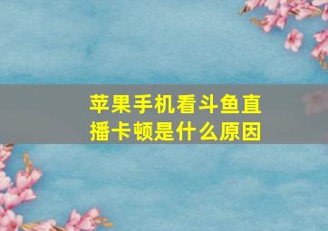 苹果手机看斗鱼直播卡顿是什么原因