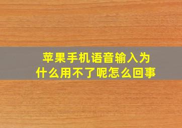 苹果手机语音输入为什么用不了呢怎么回事