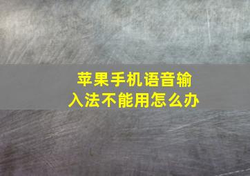 苹果手机语音输入法不能用怎么办