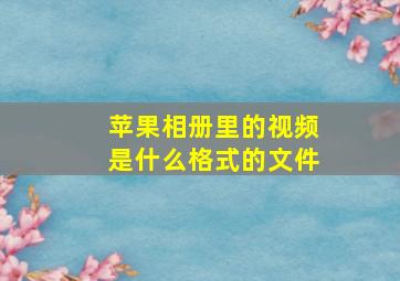 苹果相册里的视频是什么格式的文件