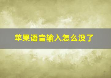 苹果语音输入怎么没了