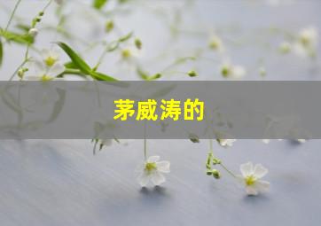 茅威涛的