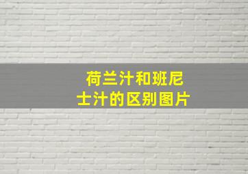 荷兰汁和班尼士汁的区别图片