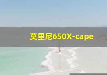 莫里尼650X-cape