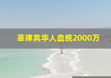 菲律宾华人血统2000万