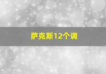 萨克斯12个调