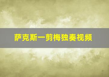 萨克斯一剪梅独奏视频