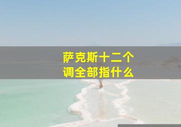 萨克斯十二个调全部指什么