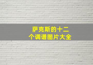 萨克斯的十二个调谱图片大全