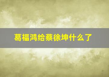 葛福鸿给蔡徐坤什么了