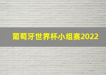 葡萄牙世界杯小组赛2022