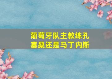 葡萄牙队主教练孔塞桑还是马丁内斯