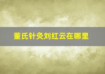 董氏针灸刘红云在哪里