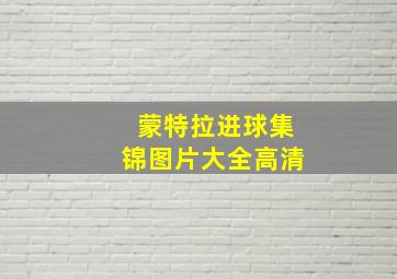 蒙特拉进球集锦图片大全高清