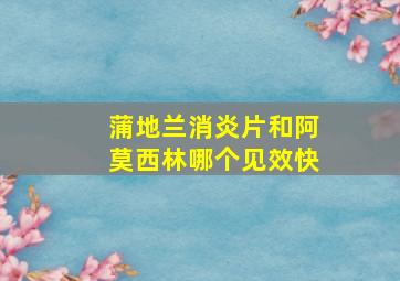 蒲地兰消炎片和阿莫西林哪个见效快