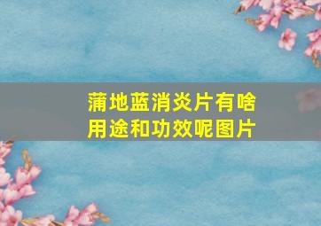 蒲地蓝消炎片有啥用途和功效呢图片