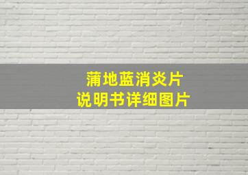 蒲地蓝消炎片说明书详细图片