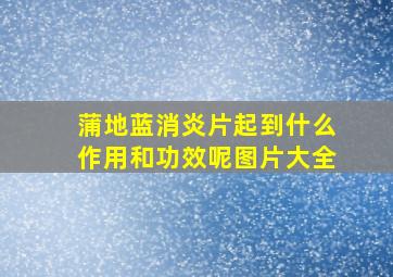 蒲地蓝消炎片起到什么作用和功效呢图片大全