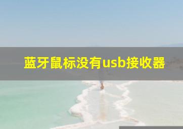 蓝牙鼠标没有usb接收器