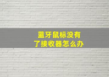 蓝牙鼠标没有了接收器怎么办