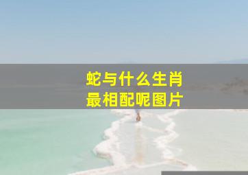 蛇与什么生肖最相配呢图片