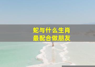 蛇与什么生肖最配合做朋友