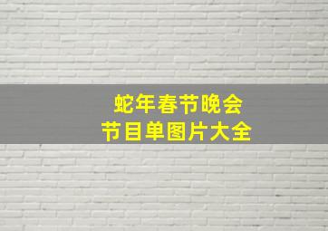 蛇年春节晚会节目单图片大全